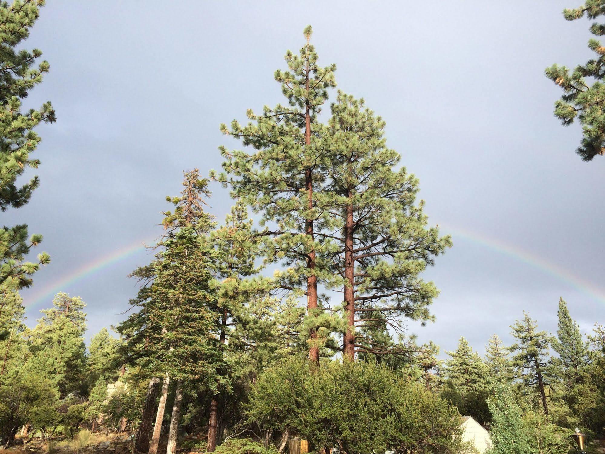 Cienaga Creek Ranch Big Bear Lake Exterior foto